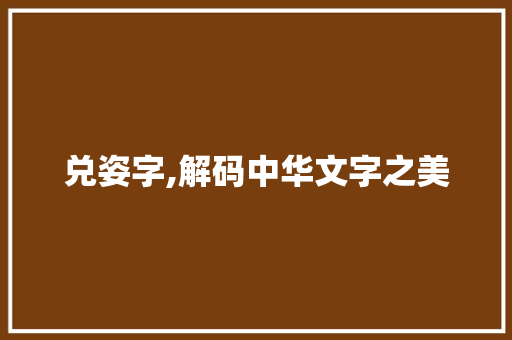 兑姿字,解码中华文字之美
