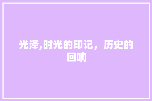 光泽,时光的印记，历史的回响