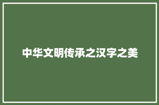 中华文明传承之汉字之美