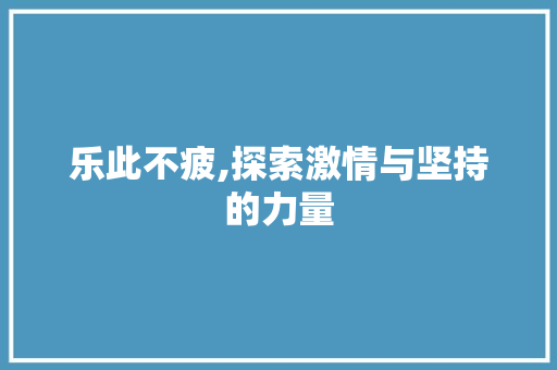 乐此不疲,探索激情与坚持的力量