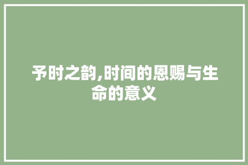 予时之韵,时间的恩赐与生命的意义