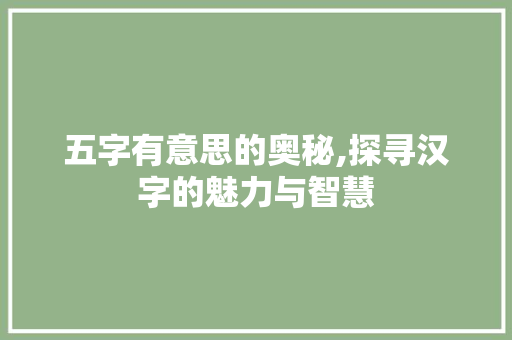 五字有意思的奥秘,探寻汉字的魅力与智慧