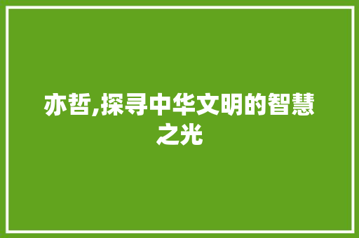 亦哲,探寻中华文明的智慧之光