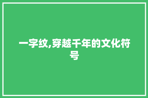 一字纹,穿越千年的文化符号