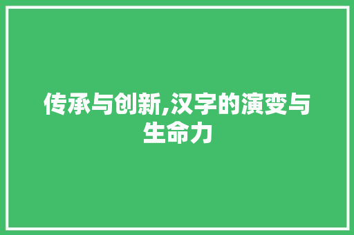 传承与创新,汉字的演变与生命力