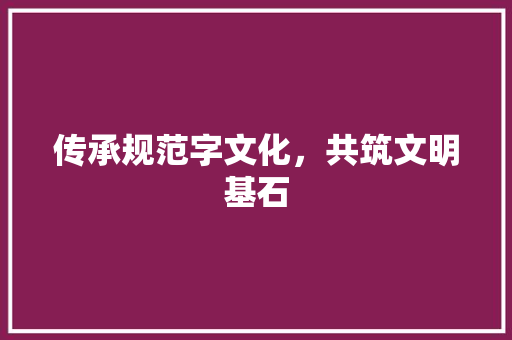 传承规范字文化，共筑文明基石