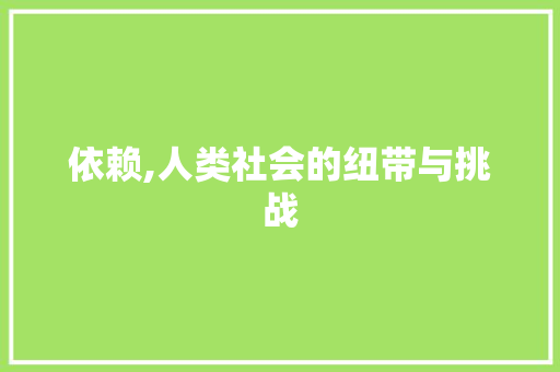 依赖,人类社会的纽带与挑战