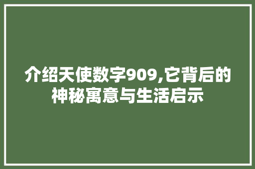 介绍天使数字909,它背后的神秘寓意与生活启示