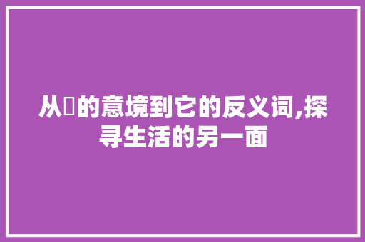 从崋的意境到它的反义词,探寻生活的另一面