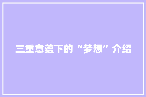 三重意蕴下的“梦想”介绍