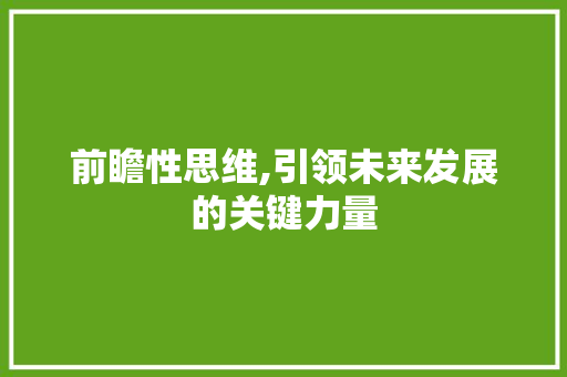 前瞻性思维,引领未来发展的关键力量