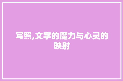 写照,文字的魔力与心灵的映射
