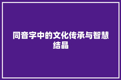 同音字中的文化传承与智慧结晶