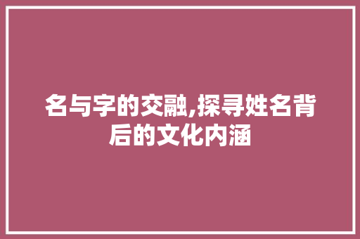 名与字的交融,探寻姓名背后的文化内涵