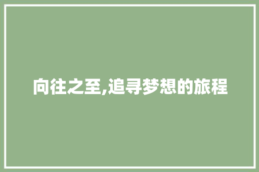 向往之至,追寻梦想的旅程