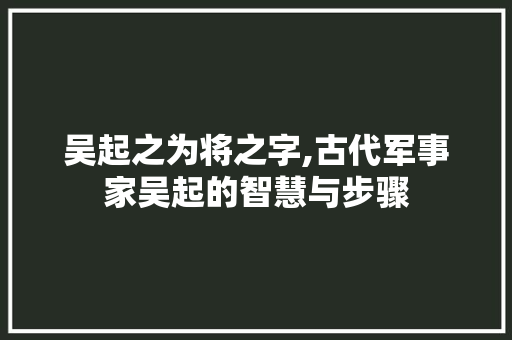 吴起之为将之字,古代军事家吴起的智慧与步骤