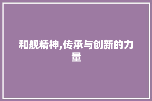 和舰精神,传承与创新的力量