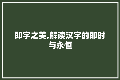 即字之美,解读汉字的即时与永恒