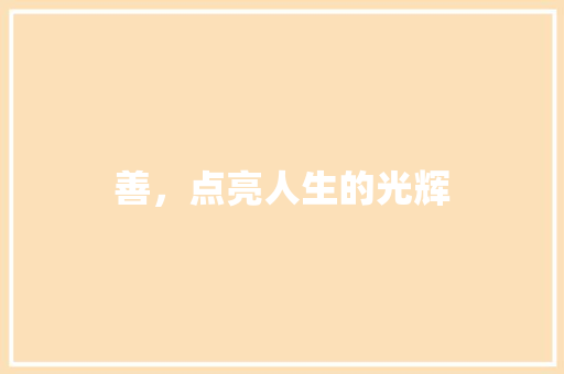 善,点亮人生的光辉