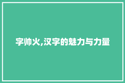 字帅火,汉字的魅力与力量