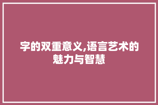 字的双重意义,语言艺术的魅力与智慧