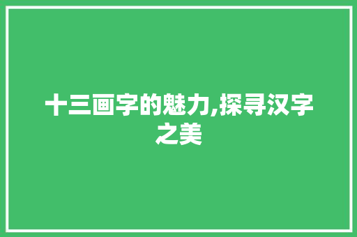 十三画字的魅力,探寻汉字之美