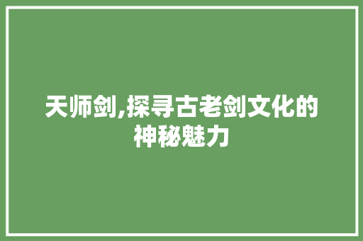 天师剑,探寻古老剑文化的神秘魅力