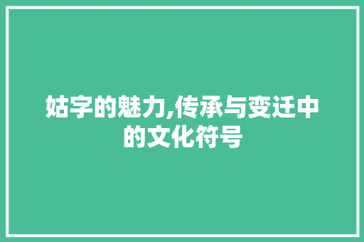 姑字的魅力,传承与变迁中的文化符号