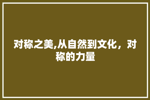 对称之美,从自然到文化,对称的力量 第1张 对称之美,从自然到文化,对称的力量 第1张