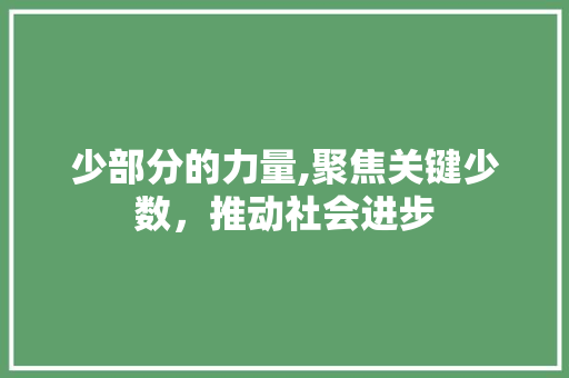 少部分的力量,聚焦关键少数，推动社会进步