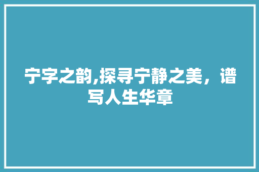 宁字之韵,探寻宁静之美，谱写人生华章