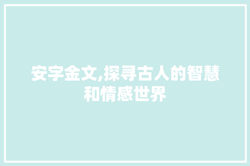 安字金文,探寻古人的智慧和情感世界