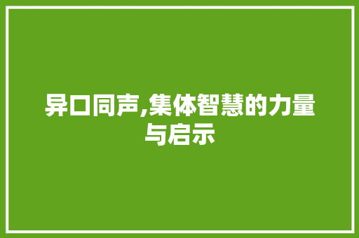 异口同声,集体智慧的力量与启示