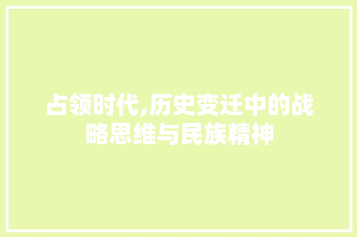 占领时代,历史变迁中的战略思维与民族精神