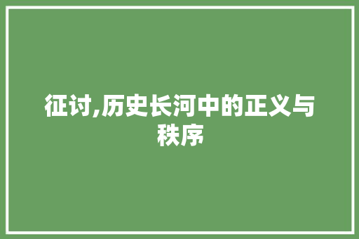 征讨,历史长河中的正义与秩序
