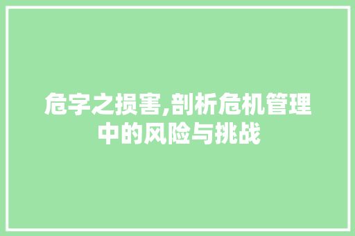 危字之损害,剖析危机管理中的风险与挑战