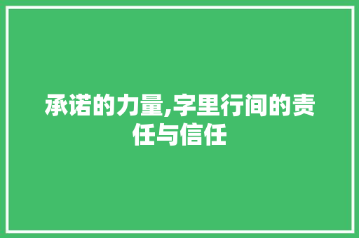 承诺的力量,字里行间的责任与信任