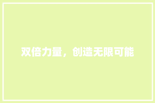 双倍力量，创造无限可能