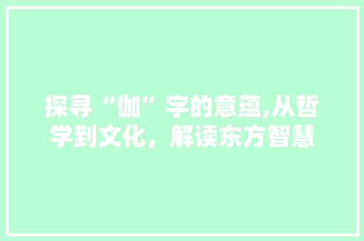 探寻“伽”字的意蕴,从哲学到文化,解读东方智慧