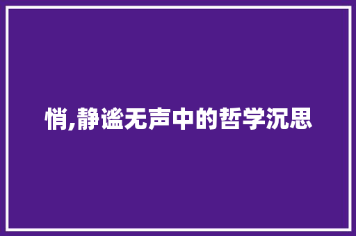 悄,静谧无声中的哲学沉思