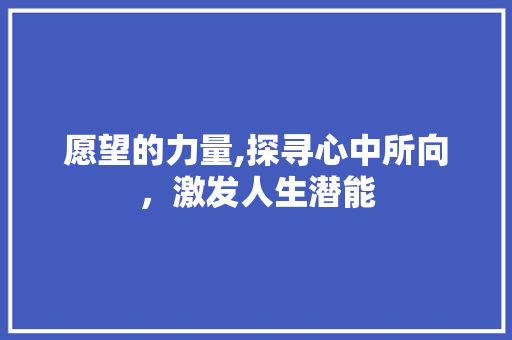 愿望的力量,探寻心中所向，激发人生潜能