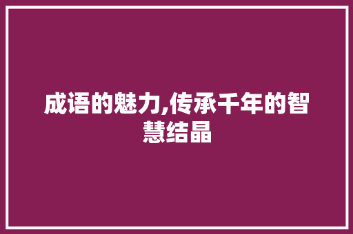 成语的魅力,传承千年的智慧结晶