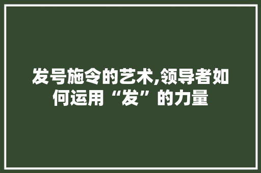 发号施令的艺术,领导者如何运用“发”的力量