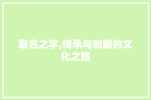 取名之字,传承与创新的文化之旅