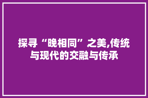 探寻“晚相同”之美,传统与现代的交融与传承