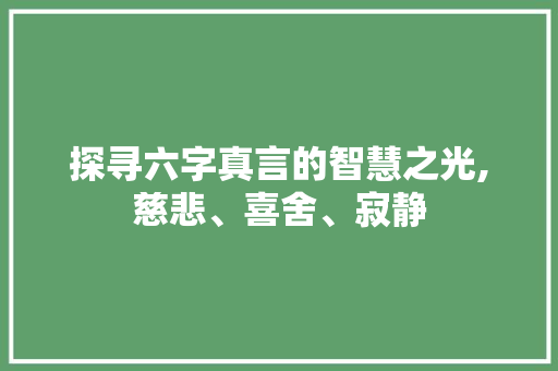 探寻六字真言的智慧之光,慈悲、喜舍、寂静