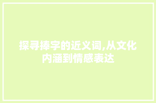 探寻捧字的近义词,从文化内涵到情感表达