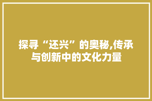 探寻“还兴”的奥秘,传承与创新中的文化力量