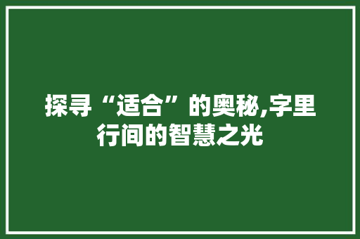 探寻“适合”的奥秘,字里行间的智慧之光