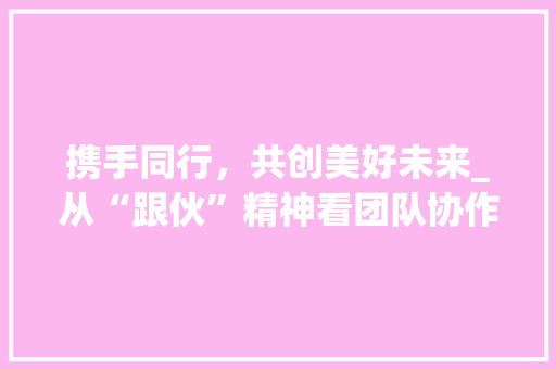 携手同行，共创美好未来_从“跟伙”精神看团队协作的力量  第1张